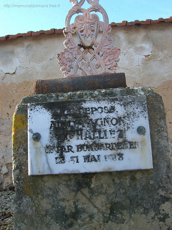 AdeleFagnonJaulgonne.jpg - SAMSUNG DIGITAL CAMERA