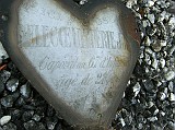 delecoeuilleriePlaque